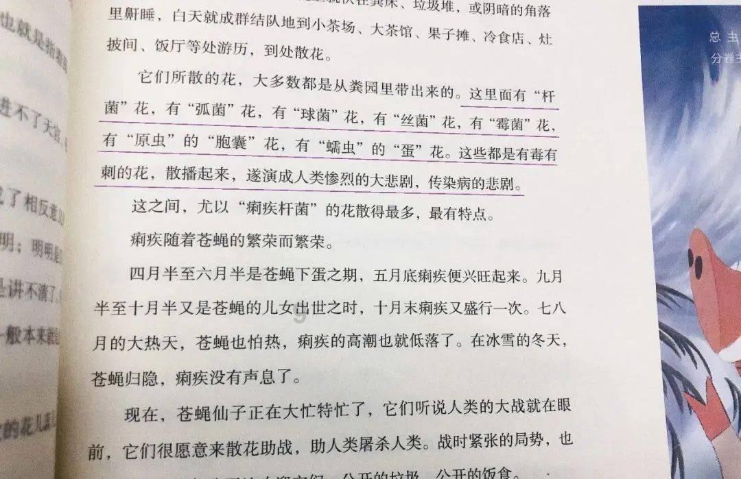 探索经济发展太快弊端是什么?,解答你的疑惑